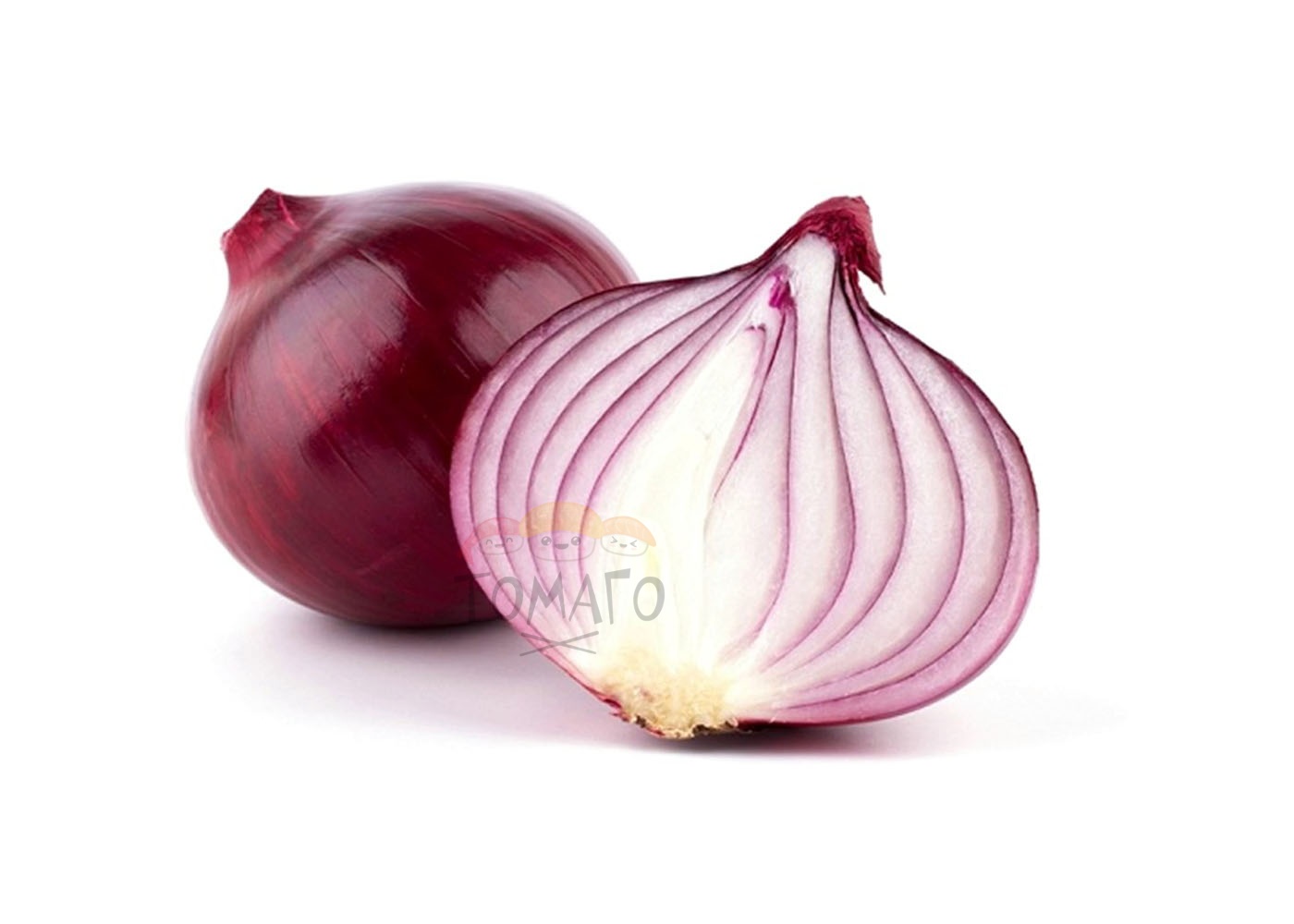 Onion Ooty